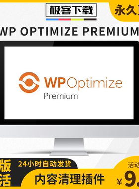 WP Optimize Premium插件 WP站点内容清理加速插件原版激活