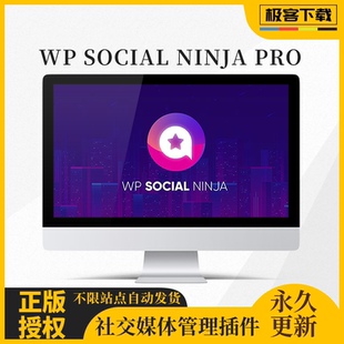 WP Social Ninja Pro插件 Wordpress社交媒体评论订阅聊天管理