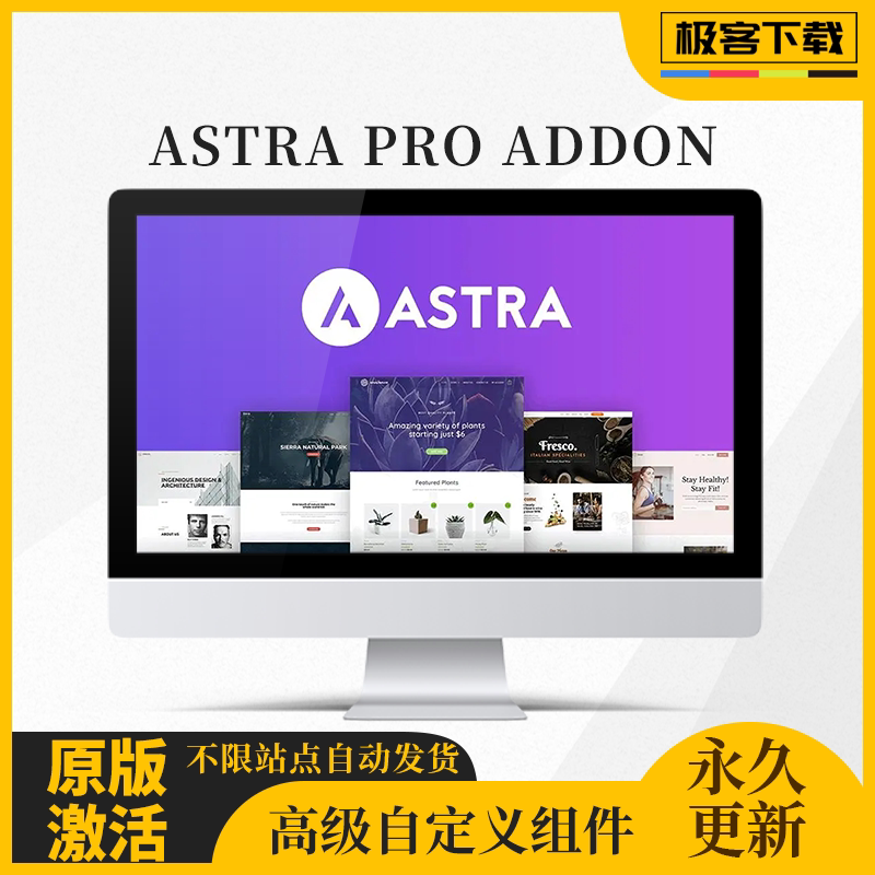 Astra Pro Addon  Wordpress多功能企业商城高级插件激活不限站点图片