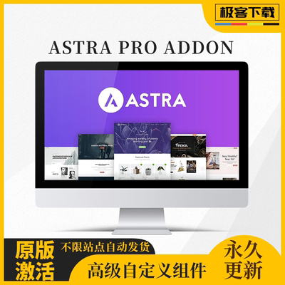 Astra Pro Addon  Wordpress多功能企业商城高级插件激活不限站点