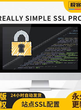 Really Simple SSL Pro插件 WordPress全站SSL插件专业版