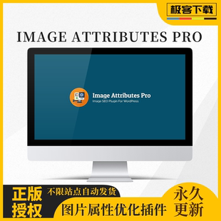 Image Attributes PRO 插件 WP图片属性插件 Wordpress属性优化