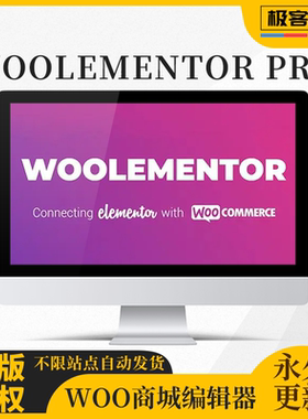Woolementor PRO插件 又名CoDesigner Pro Woo商城商品编辑利器