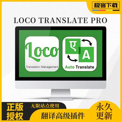 Loco Translate PRO插件 WP自动翻译 主题插件自动翻译 官方原版
