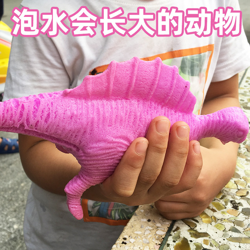 泡大动物海绵宝宝泡水变大的泡大珠泡水珠珠海洋宝宝玩具水精灵