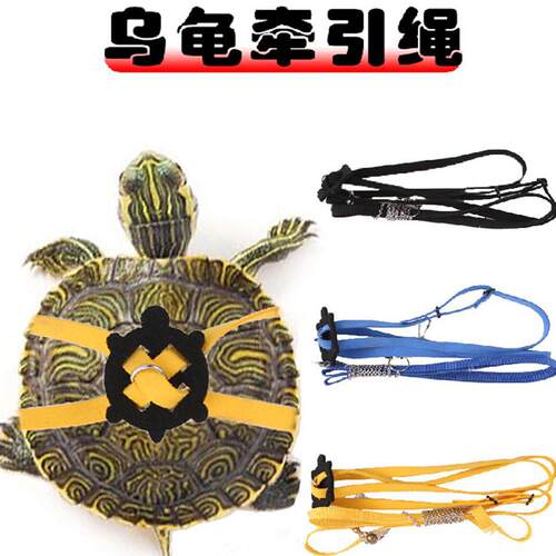 乌龟牵引绳溜龟绳黄缘巴西陆龟