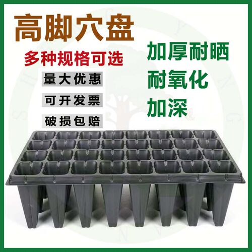 穴盘育苗盘育苗盆加厚穴盘