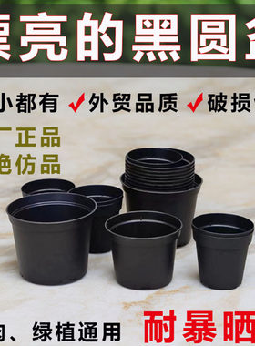 外贸黑色圆盆多肉育苗盆厂家批发加厚硬质育苗盆塑料盆
