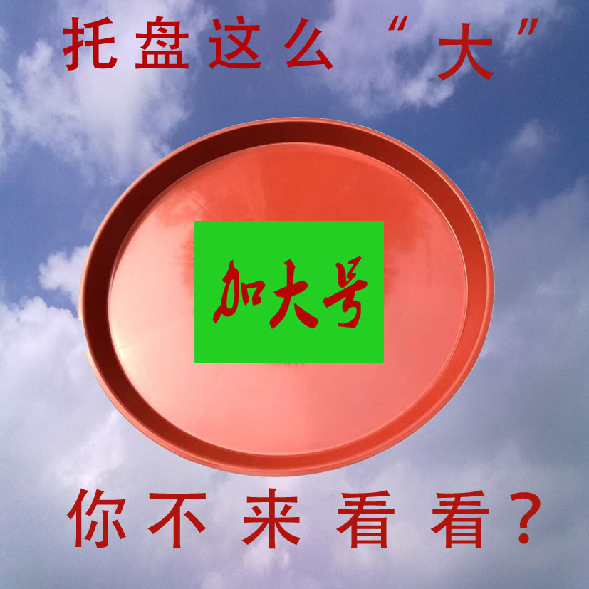 加大塑料花盆底盘绿植