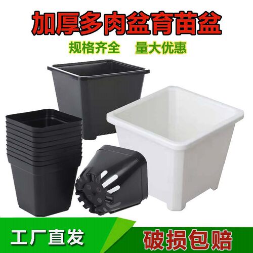 塑料简约育苗黑方白方耐用