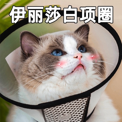 伊丽莎白圈绝育防舔猫咪项圈狗狗脖圈幼猫软圈伊利沙白头套防脱落