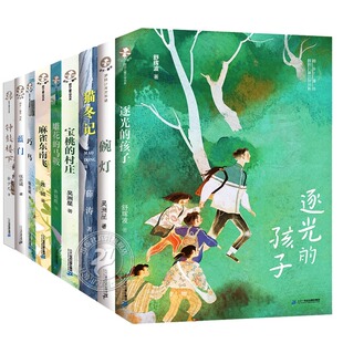 雕花 蓝门三四五六年级课外阅读书 孩子 碗灯 乡愁巧鸟 村庄 逐光 宝桃 马鞍 故乡童年原创儿童文学书系猫冬记 钟鼓楼下 巧鸟