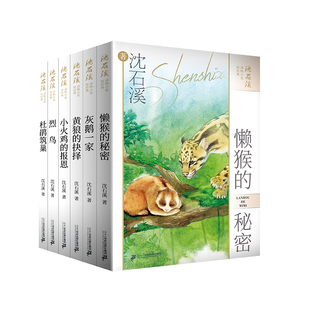 沈石溪动物小说短经典（共6册） 懒猴的秘密/列鸟/灰鹅一家/杜鹃筑巢/黄狼的抉择/小火鸡的报恩 7-12岁二十一世纪出版社