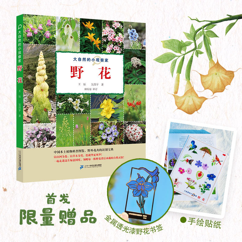 【赠书签和贴纸】大自然的小观察家野花 7～16岁王辰 吴昌宇 少儿科普再现中国植物的灵动丰姿二十一世纪出版社