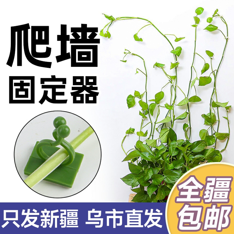 新疆包邮绿箩爬上神器爬藤杆爬墙固定器绿萝藤蔓卡扣子绿萝固定器使用感如何?