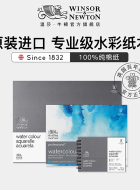 温莎牛顿进口专业级水彩水彩纸本300g/640g细纹中粗纹水粉画画纸美术生学生绘画专用水彩本2k4k8k16k32K