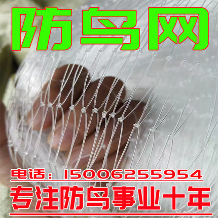 农用果园防鸟网果树葡萄樱桃防鸟用网鱼塘养殖天网大棚防护尼龙网
