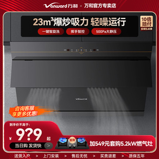 万和抽油烟机侧吸式 挥手净烟自清洗DJ738家用爆炒三挡大吸力23m³