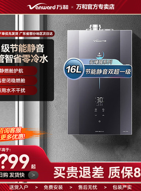 万和LS9D16 PRO燃气热水器下置风机一级能效静音水伺服增压零冷水