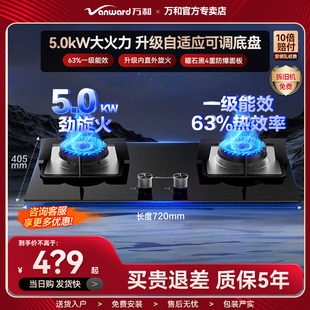 万和B6L60官方猛火燃气灶煤气家用双灶天然气液化气灶具