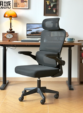 朗域轩品电脑椅人体工学椅子护腰电脑椅家用舒适久坐办公椅PDD