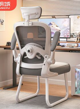 朗域电脑椅家用舒适久坐办公椅子人体工学椅书房舒适学习椅PDD