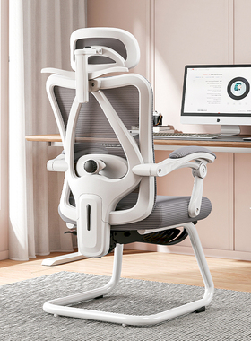 朗域轩品人体工学椅弓形椅家用电脑椅可躺办公椅久坐护腰座椅PDD