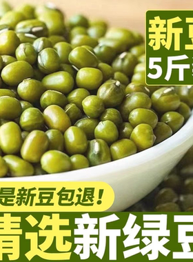 2025年新鲜绿豆新货5斤可发芽东北农家皮薄绿豆小粒商用批发10斤