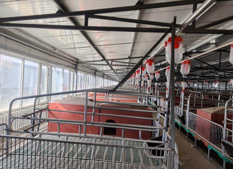 4月15日包头市猪棚等网络拍卖公告