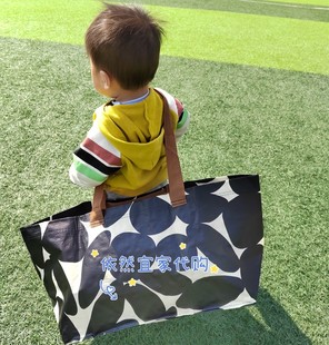 IKEA宜家正品塞克夏劳手提袋加厚环保便携购物袋杂物收纳整理袋子