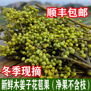 贵州木姜子花苞新鲜山胡椒现采野生山苍子湖南云南特产野山椒蔬菜