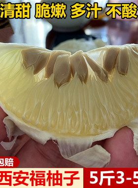 【新鲜上市】5斤安福金兰柚子江西特产萍乡柚子正宗吉安蚕子包邮