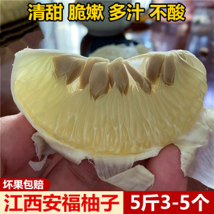 【新鲜上市】5斤安福金兰柚子江西特产萍乡柚子正宗吉安蚕子包邮