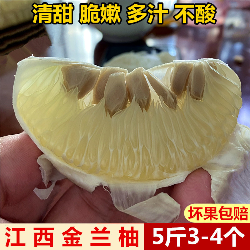 2026新鲜上市江西吉安金兰柚安福柚子萍乡蚕子井冈蜜柚白心土柚子