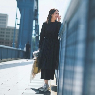 蓬蓬网纱裙套装 3.9w 光泽复合优雅瓶颈领直筒连衣裙 3WAY穿 emm1