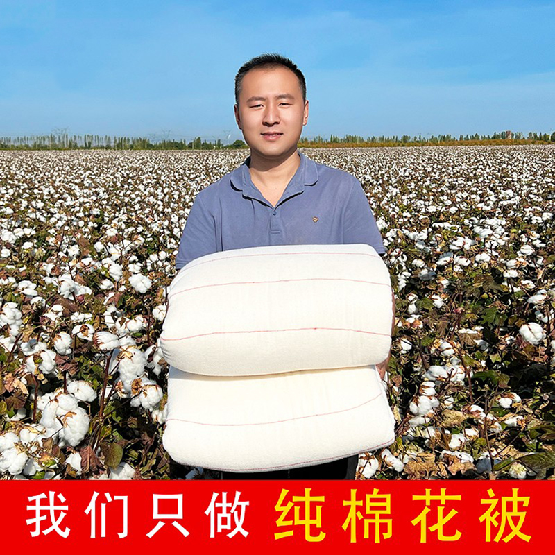新疆长绒棉花被纯棉被子全棉被芯棉絮床垫被褥子加厚保暖学生冬被