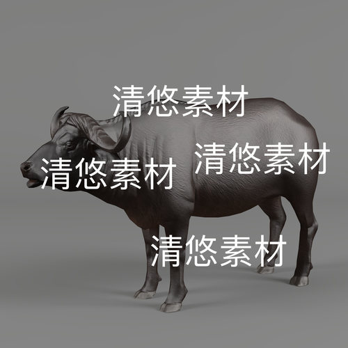 黑色水牛c4d fbx格式家禽动物骼绑定模型动作文件 非实物D352