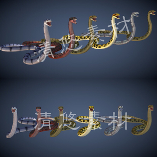 A58 模型骨骼绑定带动画动作蛇类 爬行动物大蛇c4d fbx蟒蛇格式