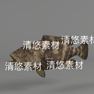 石斑鱼c4d fbx格式动物3D鱼模型骨骼绑定动作3D文件 非实物D401