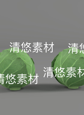 3dmax c4d fbx obj格式蔬菜包菜青菜卷心菜模型文件 非实物D765
