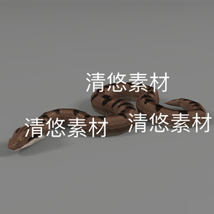 毒蛇c4d fbx格式爬虫3D模型爬行长虫蛇绑定动作文件 非实物D929