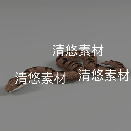 毒蛇c4d fbx格式爬虫3D模型爬行长虫蛇绑定动作文件 非实物D929