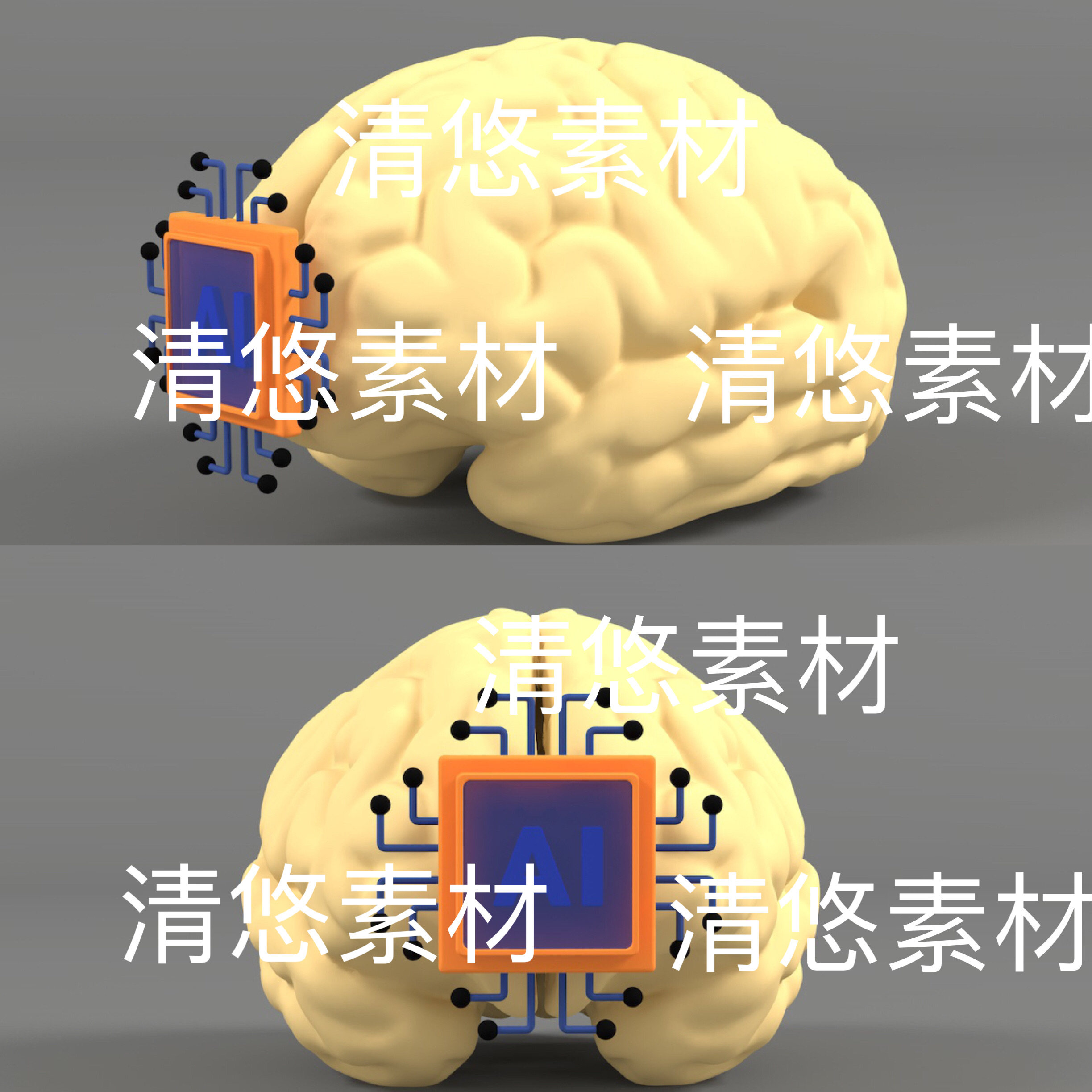 c4d fbx obj格式AI大脑人体大脑模型文件 非实物D707