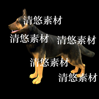 低模c4d fbx格式骨骼绑定动物德国牧羊犬小狗动作文件 非实物B323