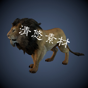 森林之王雄狮c4d A72 fbx野生动物模型狮子四足骨骼绑定带动作