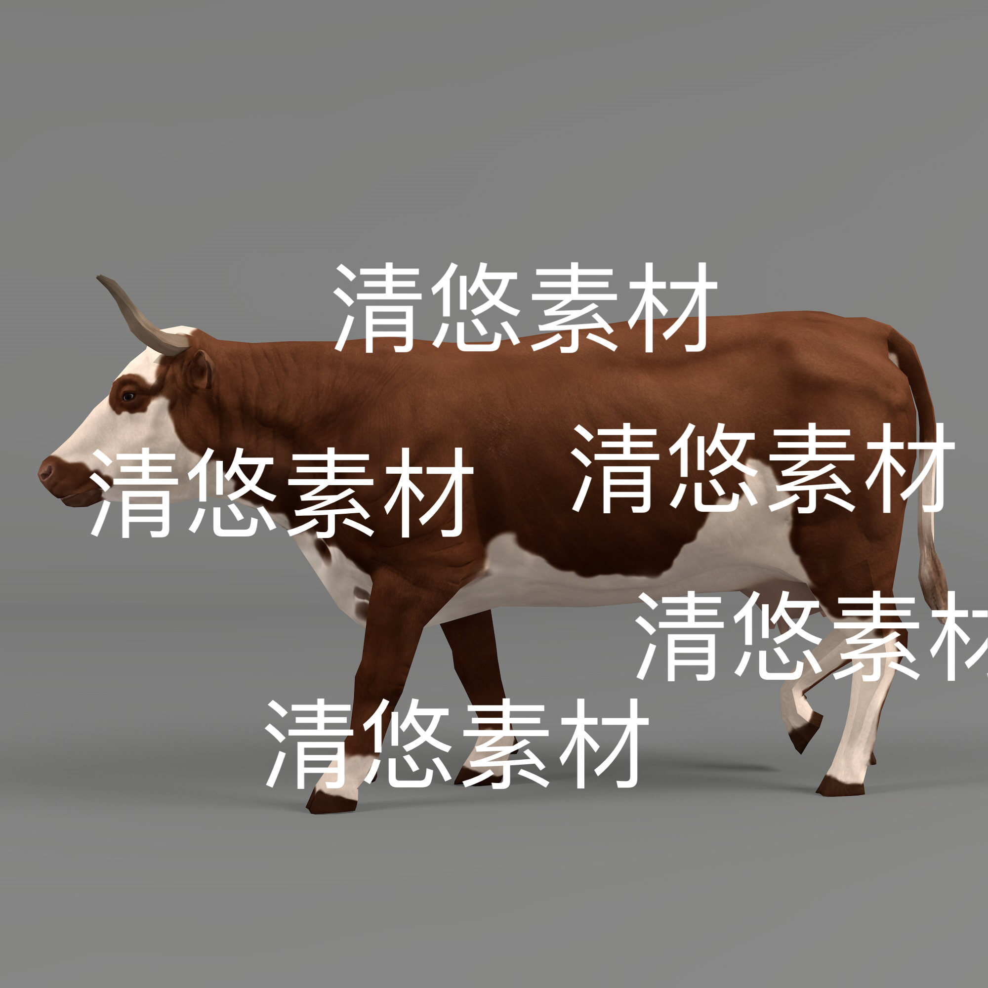 c4d fbx格式奶牛动物家禽骨骼绑定牛动作文件 非实物D672