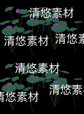3dmax c4d fbx obj格式植物荷花睡莲荷叶文件 非实物B837