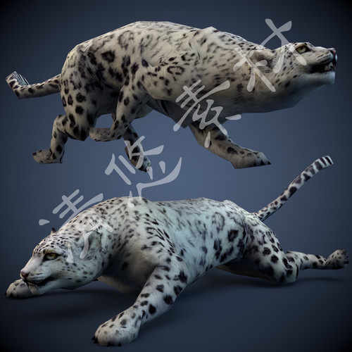 3dmax c4d白色花豹模型四足动物游戏全套动作 骨骼绑定fbx格式224