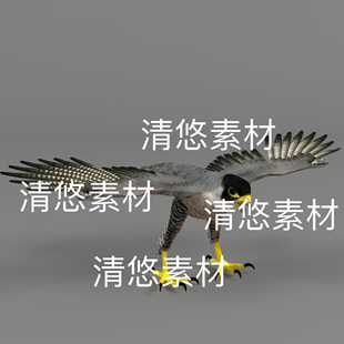 骨骼绑定老鹰猛禽飞行动物模型文件 非实物D831 fbx格式 c4d