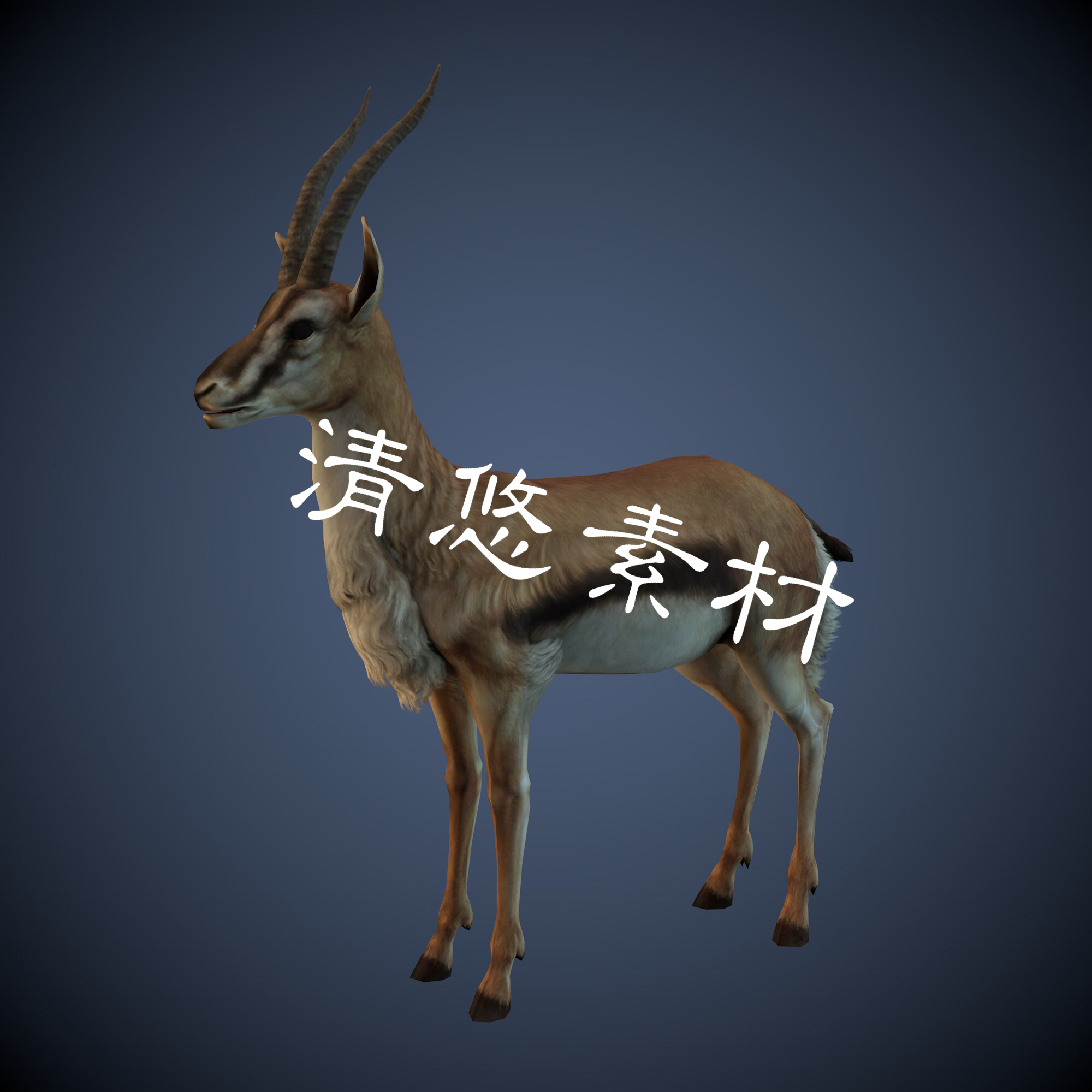 c4d fbx格式模型 羚羊四足动物骨骼绑定带动作羚羊 非实物A285